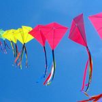 Makar Sankranti- Kite Festivals