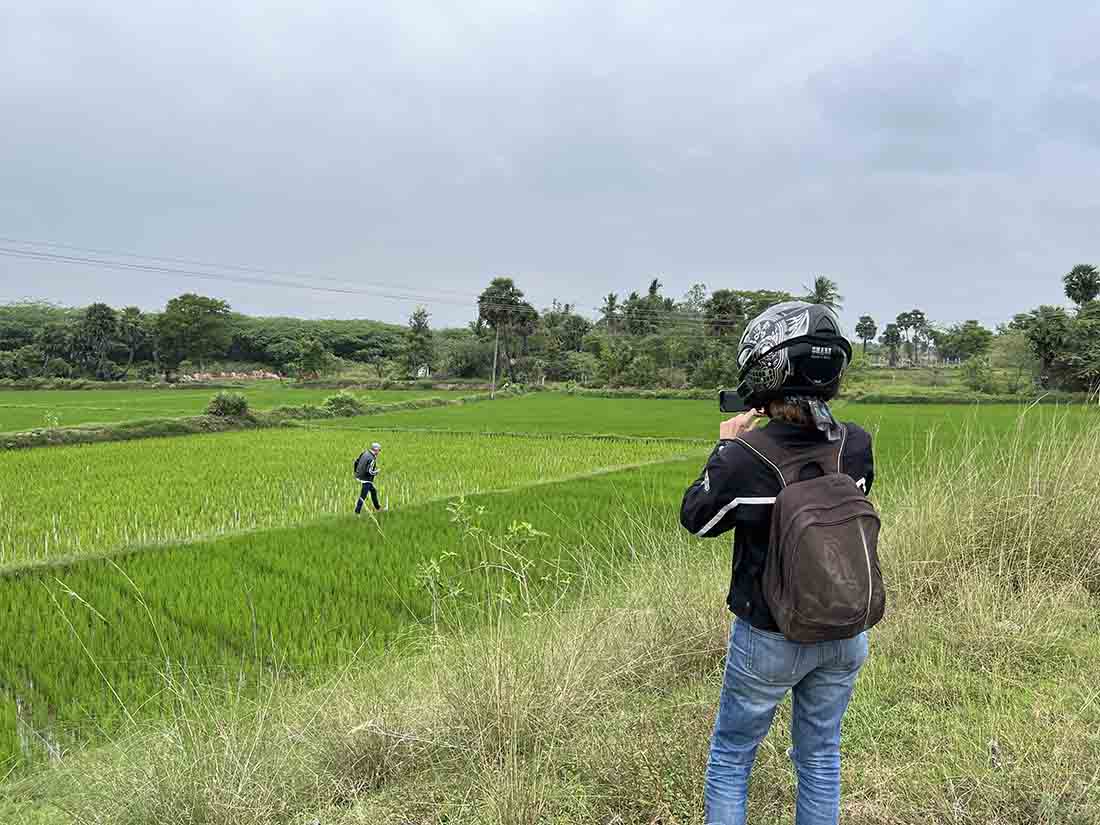 A photo of lush green paddy fields of Tamil Nadu I Motorcycle Tour to Tamil Nadu & Kerala, Two south Indian states on a Bike